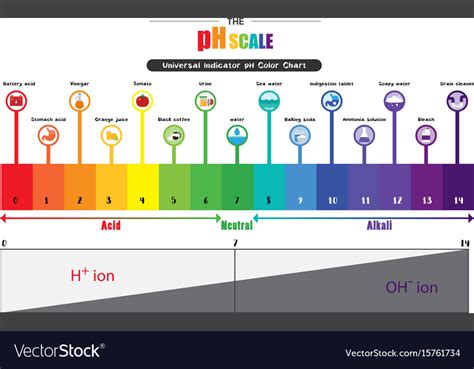 Ph scale universal indicator color chart Vector Image