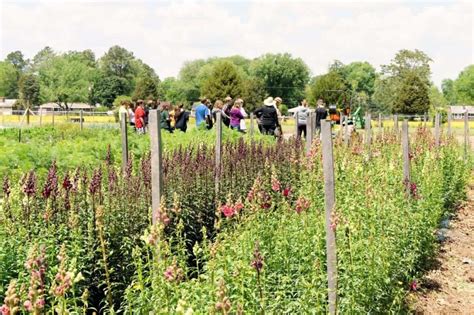 Farm Tours - The Gardener's Workshop