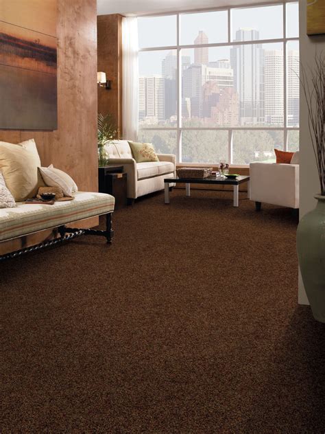 30+ Tan Carpet Living Room Ideas