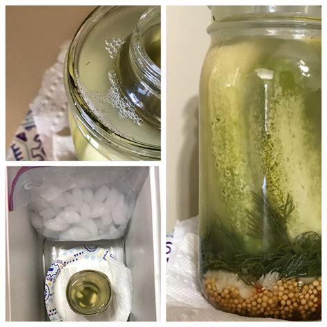 An update on my pickle ferment! More info in the comment section. : r ...