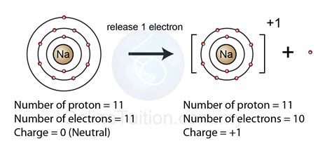 Positive And Negative Charged Ions