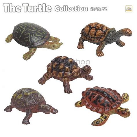 กาชาปองเต่า Kame Kame Turtle Figure Collection - PiggyGaGa กาชาปอง ...