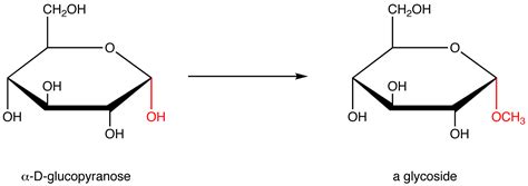 Glycoside - Chemistry LibreTexts