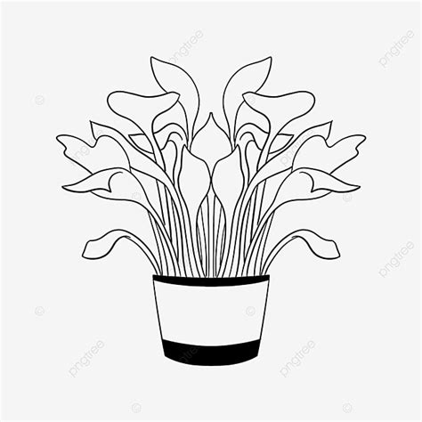 Clipart Plant Black And White