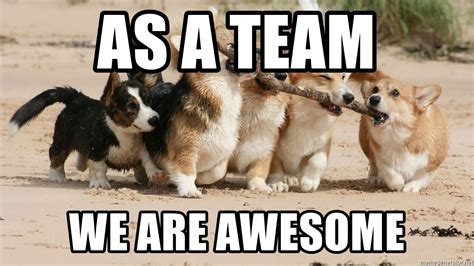 As a team we are awesome - Teamwork Corgis | Meme Generator