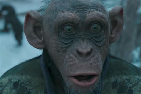 Planet Of The Apes Characters