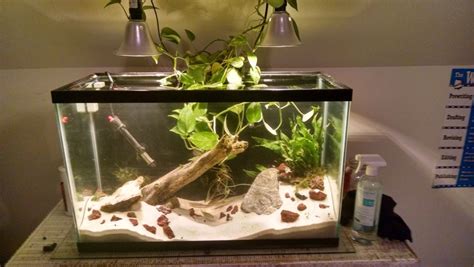 Impulse Build: 29 Gallon Creek Tank – Fishy Joe's Aquarium