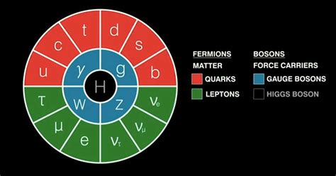 The Standard Model (of Particle Physics) Explained - Fact / Myth