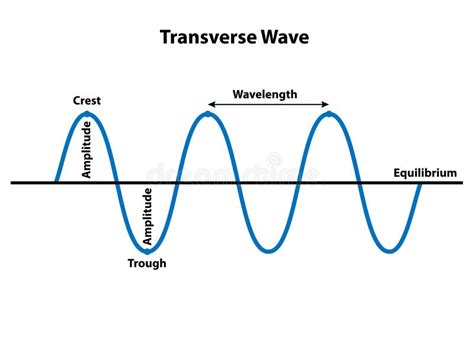 37 diagram of a transverse wave - Diagram For You