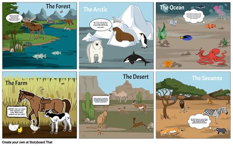 Animal Habitats Storyboard by e493ec34