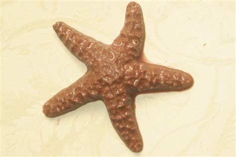 Chocolate starfish. by PanacheConfections on Etsy