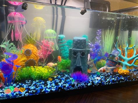 15 Things From Amazon To Help Your Home Aquarium Thrive