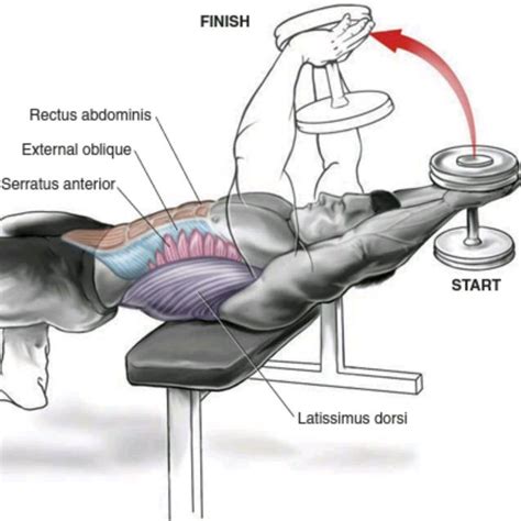 Cross Bench Dumbbell Pullover