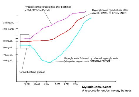 Dawn And Somogyi Phenomenon Mnemonic - My Endo Consult