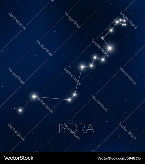 Hydra constellation in night sky Royalty Free Vector Image