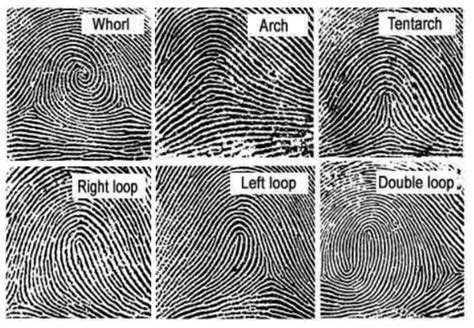 A Complete guide to Fingerprint Analysis