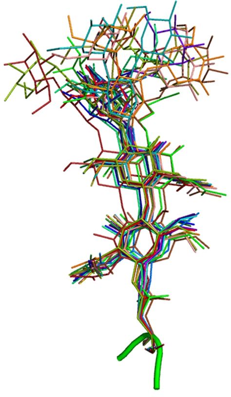 The Structural Assessment of Glycosylation Sites Database - SAGS – An ...