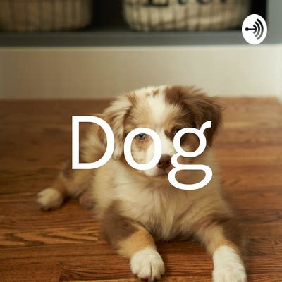 Dog • A podcast on Spotify for Podcasters