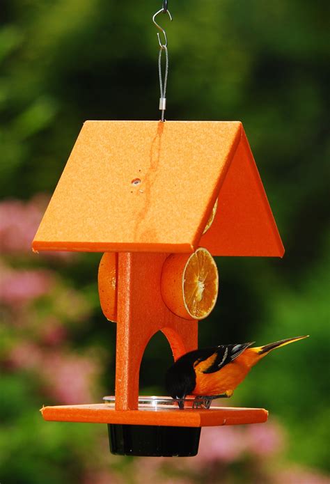 Recycled Fruit & Jelly Oriole Feeder | Oriole bird feeders, Humming ...