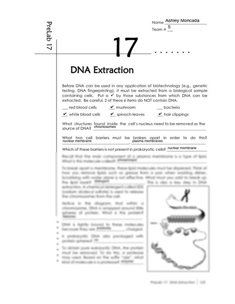 SOLUTION: DNA Extraction Pre Lab Report - Studypool