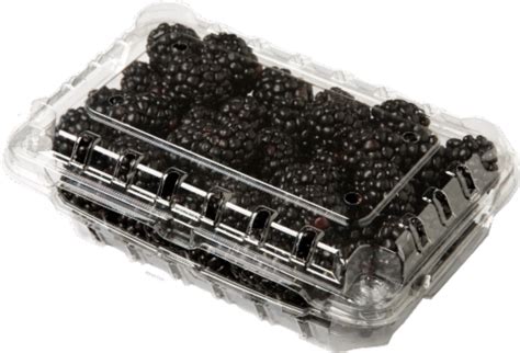 Driscoll's® Blackberries, 12 oz - Ralphs