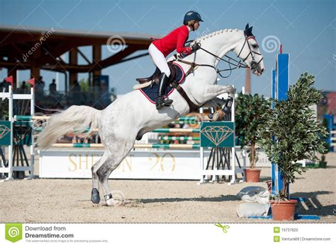 horse jumping competition | Grand Prix Horse Jumping | horses ...