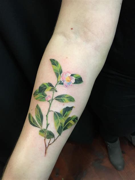 Tea plant tattoo by Anna C. at The Warren Tattoo in Los Angeles, CA : r ...