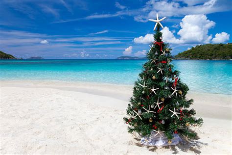 Caribbean Christmas Stock Photos, Pictures & Royalty-Free Images - iStock