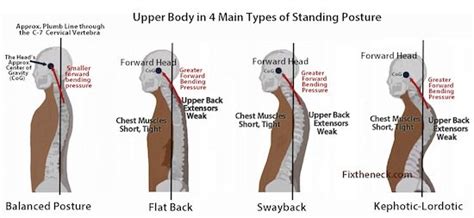 Stretches and Exercises to Improve your Posture! - PositiveMed