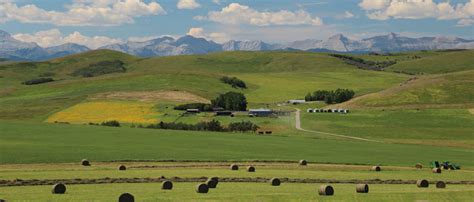 Ranch Scene - Solid Rock Property