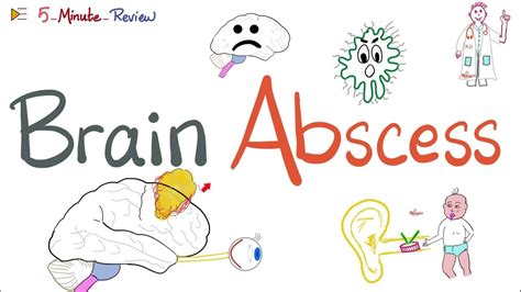 Brain Abscess | Causes, Symptoms, Diagnosis, and Treatment | Neurology ...