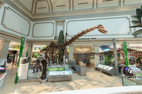 Smithsonian National Museum of Natural History’s Dinosaur Hall Restored ...