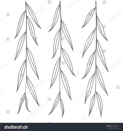 Weeping Willow Branch Tree Twig Outline Stock Vector (Royalty Free ...