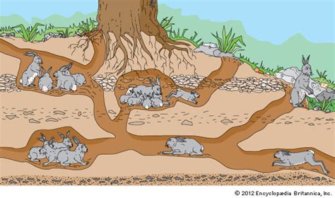 an image of animals that are in the dirt and under a tree with roots on it