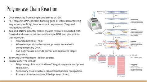 Molecular Biology Techniques - YouTube