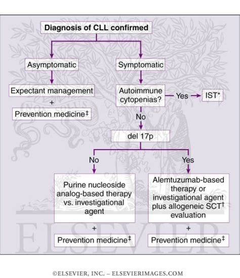 47 best images about Chronic Lymphocytic Leukemia on Pinterest | Red ...