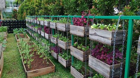 25 Incredible Vegetable Garden Ideas | Trees.com