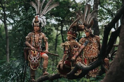 Suku Dayak Berasal dari Kalimantan, Ini Asal-usul dan Tradisinya ...