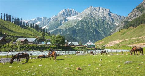 Top 9 Valleys In Kashmir That Will Mesmerize Your Eyes In 2023!