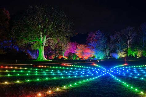 RHS Glow Winter Illuminations at RHS Rosemoor | Festive Garden Light ...