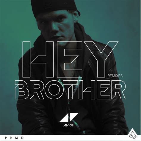 Avicii – Hey Brother (Extended Version) Lyrics | Genius Lyrics