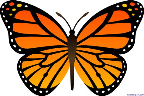 Drawing Clipart Monarch Butterfly