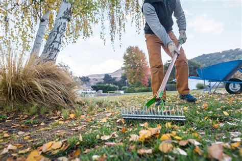 Man Doing a Yard Work in Fall Stock Photo - PixelTote