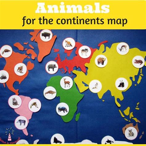 an animal map with animals on it and the words animals for the ...