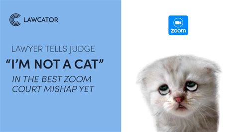 Lawyer Tells Judge ‘I’m Not A Cat’ In The Best Zoom Court Mishap Yet