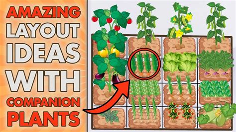 5 SQUARE FOOT GARDENING Layout Ideas With COMPANION PLANTS (Beginners ...