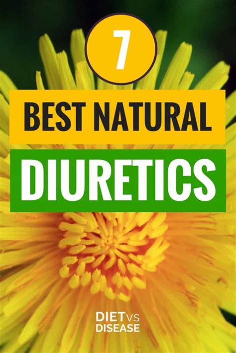 7 Best Natural Diuretics Based on Current Research | Diet vs Disease