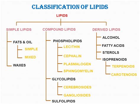 Lipid Flowchart