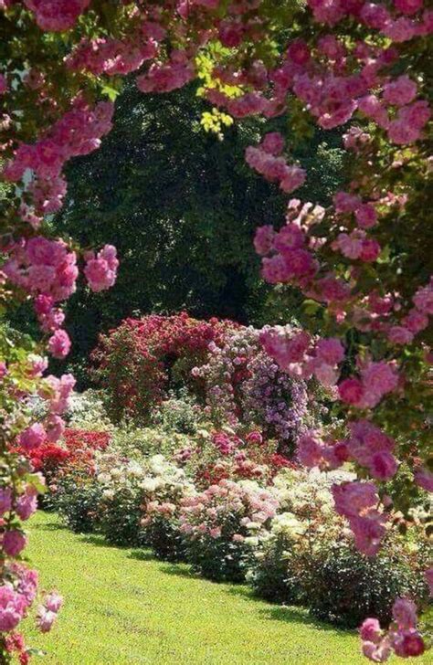 Pin on Landscaping | Beautiful gardens, Gorgeous gardens, Dream garden