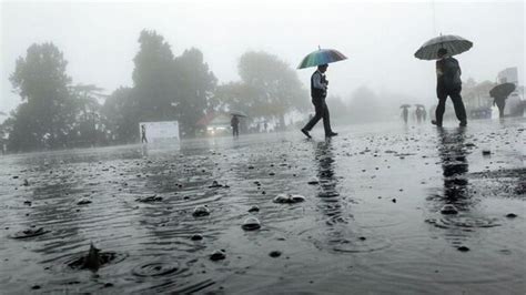 IMD predicts heavy rains in Tamil Nadu till 19 Dec; dense fog grips ...